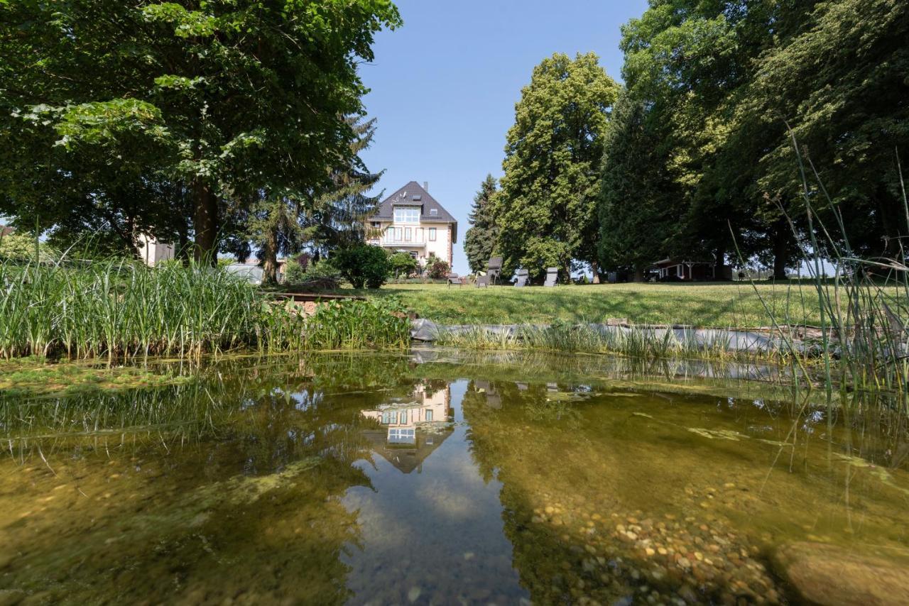 Villa Geisenhof Miltenberg Eksteriør bilde